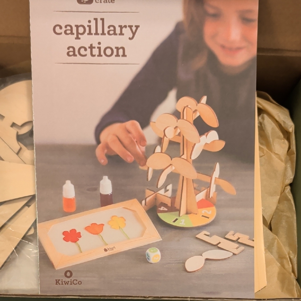 Kiwi Capillary Action Science Kit - Cream, Orange, Yellow